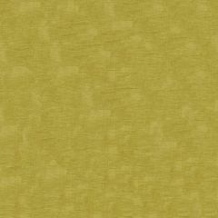 ABBEYSHEA Intrigue 202 Chartreuse Indoor Upholstery Fabric
