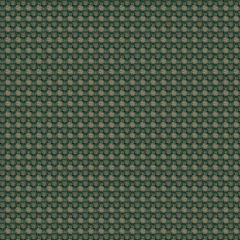 Aerotex 2008 Cactus Contract and Automotive Upholstery Fabric