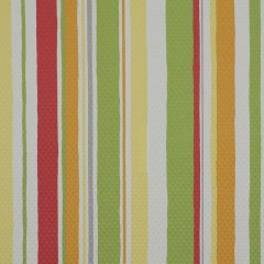 Robert Allen Baja Stripe Em Poppy 210235 Indoor/Outdoor Drapery Fabric
