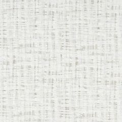 Clarke and Clarke Horizon Silver F1101-04 Olympus Collection Drapery Fabric