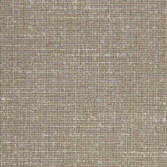 Robert Allen Tweedy Flax 199668 Indoor Upholstery Fabric