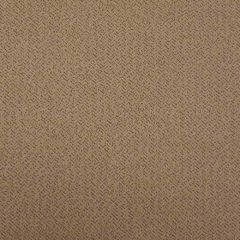 Kravet Design Sublime LZ-30203-5 Lizzo Collection Indoor Upholstery Fabric