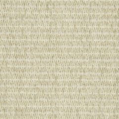 Beacon Hill Pebble Weave Natural 241410 Plush Boucle Solids Collection Indoor Upholstery Fabric