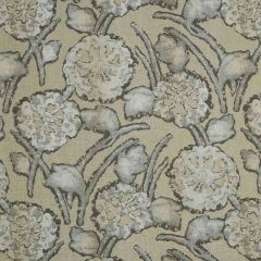 Robert Allen Above Clarity Pumice 222623 Artisan Collection Indoor Upholstery Fabric