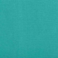 Kravet Basics 35372-13 Performance Indoor Outdoor Collection Upholstery Fabric