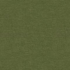 Kravet Lavish Green 26837-3333 Indoor Upholstery Fabric
