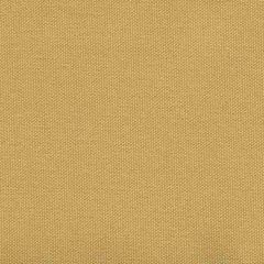 Tempotest Home Camel 58/15 Solids Collection Upholstery Fabric
