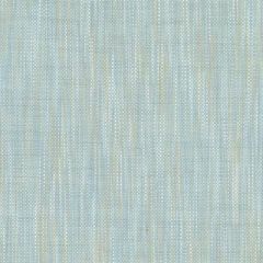 Duralee Aquamarine 36291-260 Decor Fabric
