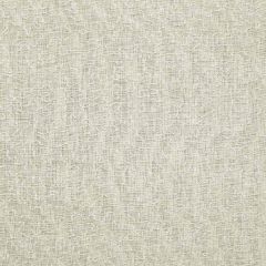 F. Schumacher Vermicelli Embroidery Pearl 64673 Chroma Collection