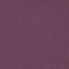 F. Schumacher Blake Grape 69561 Perfect Basics: Polished Poplin Collection