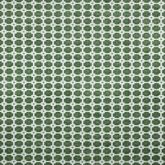 Thibaut Apollo Emerald Green W80718 Indoor Upholstery Fabric