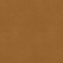 Kravet Smart Alina Tan 16 Faux Leather Indoor Upholstery Fabric