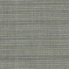 Perennials Snazzy Platinum 675-207 The Usual Suspects Collection Upholstery Fabric