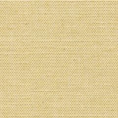 Kravet Avec Amour Gold 31870-16 by Candice Olson Indoor Upholstery Fabric