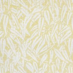 Lee Jofa Willow Yellow BFC-3513-40 Blithfield Collection Multipurpose Fabric