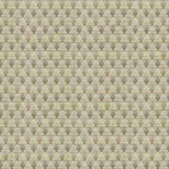 Kravet Design 33437-1611 Indoor Inspirations Collection Upholstery Fabric