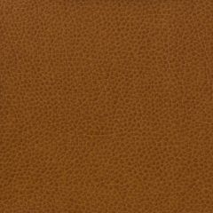 Kravet Matter Brown 616 Indoor Upholstery Fabric