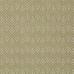 Robert Allen Ideal Diamond Lettuce 508579 Epicurean Collection Indoor Upholstery Fabric