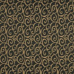 Robert Allen Contract Curvy-Guinness 221255 Decor Multi-Purpose Fabric
