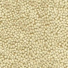 Kravet Kori Gold 34131-16 by Candice Olson Indoor Upholstery Fabric