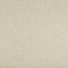 Kravet Basics Pebbledot Sand 35064-16 Oceanview Collection by Jeffrey Alan Marks Multipurpose Fabric
