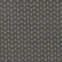 Clarke and Clarke Zion Charcoal Avalon Collection Multipurpose Fabric