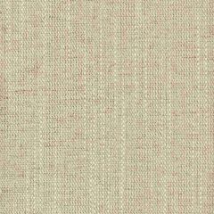 Stout Benson Desert 3 New Beginnings Performance Collection Indoor Upholstery Fabric