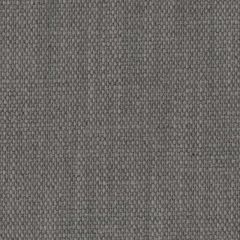 Perennials Rough 'n Rowdy Rhino 955-327 Beyond the Bend Collection Upholstery Fabric