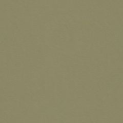 Kravet Muller Nickel 32819-11 Thom Filicia Collection Indoor Upholstery Fabric