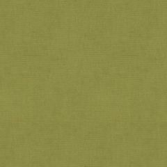 Kravet Design Green 33125-303 Indoor Upholstery Fabric