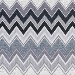 F Schumacher Zenyatta Mondatta II Charcoal 76302 Indoor Upholstery Fabric