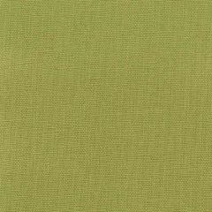 Stout Oakley Apple 12 Fairwind Canvas Collection Multipurpose Fabric