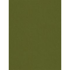 Kravet Smart Green 32565-130 Guaranteed in Stock Indoor Upholstery Fabric
