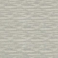 Lee Jofa Modern Playa Silver Smoke GWF-3744-111 by Kelly Wearstler Upholstery Fabric