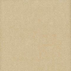 Stout Moore Desert 28 Timeless Velvets Collection Indoor Upholstery Fabric
