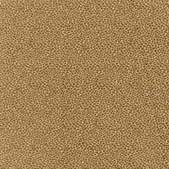 F Schumacher Kenya Texture Olive 62572 Indoor Upholstery Fabric