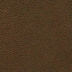 Kravet Design Brown Trezzo 6 Indoor Upholstery Fabric
