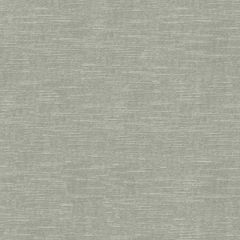 Kravet Design Grey 31326-2111 Indoor Upholstery Fabric