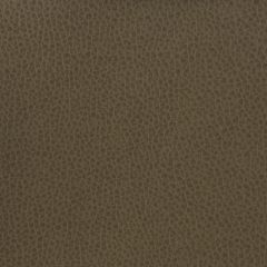 Kravet Matter Grey 21 Indoor Upholstery Fabric