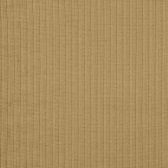 Robert Allen Contract Taboo-Lichen 215557 Decor Multi-Purpose Fabric