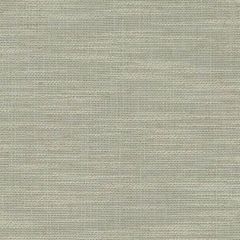 Duralee Keylime DW61820-546 Pirouette All Purpose Collection Multipurpose Fabric
