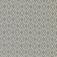 Duralee Pewter 71094-296 Moulin Wovens Collection Indoor Upholstery Fabric
