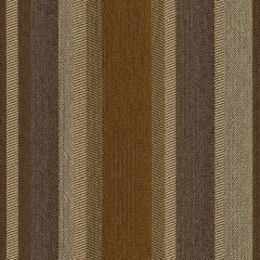 Kravet Roadline Inca 31543-611 Indoor Upholstery Fabric