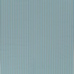 Duralee Seaglass DW16301-619 Pavilion Indoor/Outdoor Portico Stripes and Solids Collection Upholstery Fabric