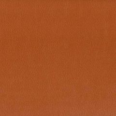 Stout Hayride Gingersnap 9 on the Go Collection Indoor Upholstery Fabric