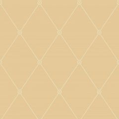 Cole and Son Large Georgian Rope Trellis Yellow 100-13064 Archive Anthology Collection Wall Covering