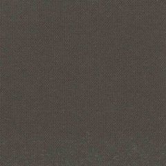 Tempotest Home Dark Chocolate 81/0 Solids Collection Upholstery Fabric
