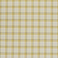 Clarke and Clarke Bowland Citrus F0596-01 Ribble Valley Collection Multipurpose Fabric