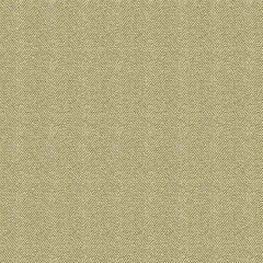 Kravet Design Taupe 28768-166 Guaranteed in Stock Indoor Upholstery Fabric