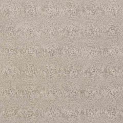 F Schumacher Stingray Zinc 75202 Relaxed Glamour Collection Indoor Upholstery Fabric